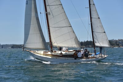 DSC_7517.JPG