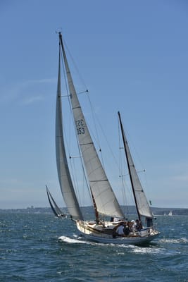 DSC_7519.JPG