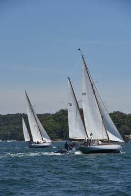 DSC_7524.JPG