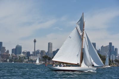 DSC_7525.JPG