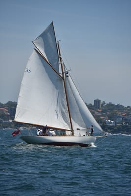 DSC_7527.JPG