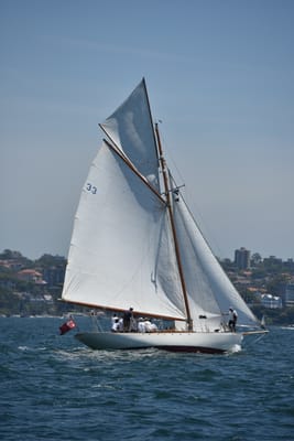 DSC_7528.JPG