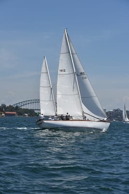 DSC_7530.JPG