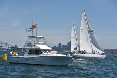 DSC_7531.JPG