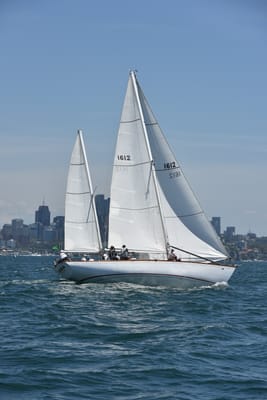 DSC_7533.JPG