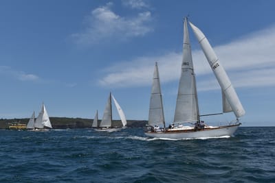 DSC_7534.JPG