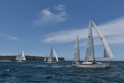 DSC_7535.JPG