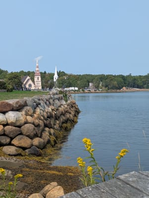 PXL_20250906_152828218.jpg