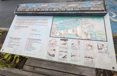 PXL_20250905_131300781.MP.jpg