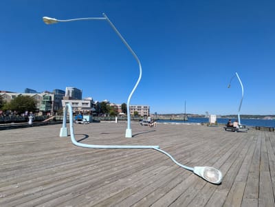 PXL_20250904_162058872.jpg