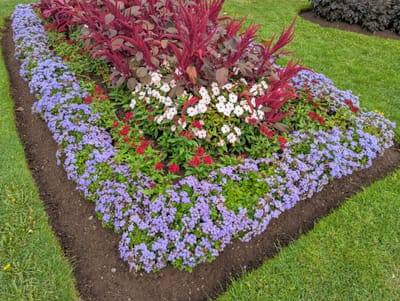 PXL_20250908_162251295.jpg