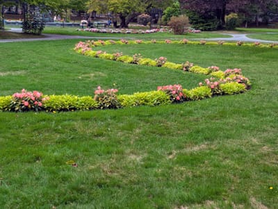 PXL_20250908_162433476.jpg