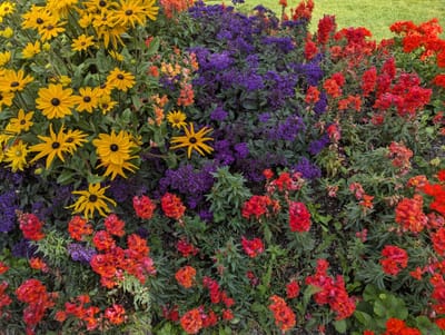 PXL_20250909_221218965.jpg