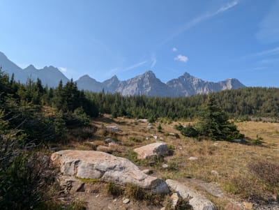 PXL_20250909_165229470.jpg