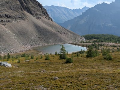 PXL_20250909_184522435.jpg