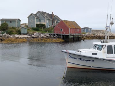 PXL_20250905_161319833.MP.jpg