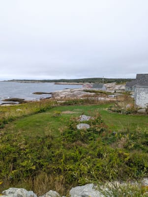 PXL_20250905_161853099.jpg