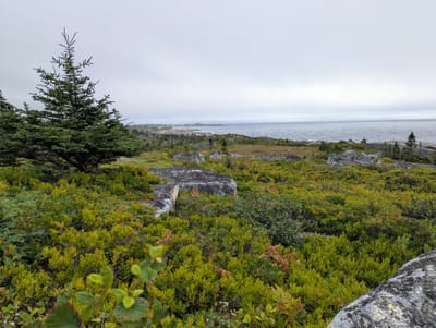 PXL_20250905_165945209.jpg