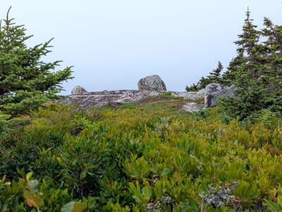 PXL_20250905_170129980.jpg