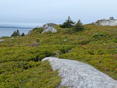PXL_20250905_170625670.jpg