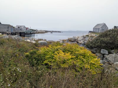 PXL_20250905_183900335.jpg