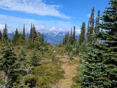 PXL_20250912_192125894.jpg