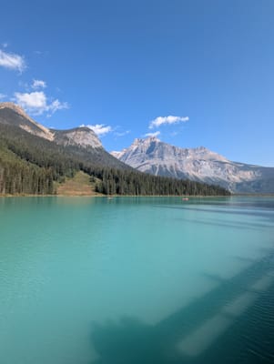 PXL_20250910_173655795.jpg