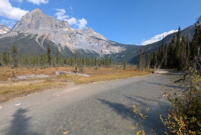 PXL_20250910_183929264.MP.jpg