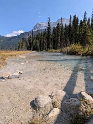 PXL_20250910_184132006.jpg