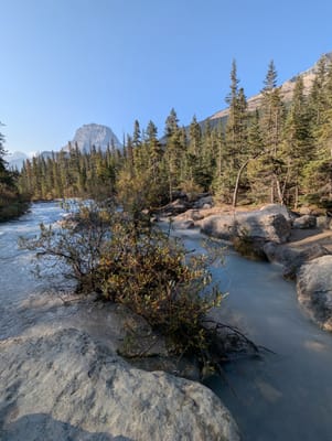 PXL_20250910_154731653.jpg