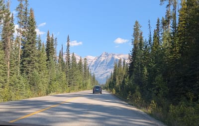 PXL_20250910_171708166.MP.jpg