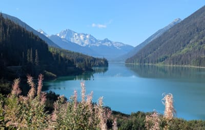 PXL_20250911_175216333.jpg