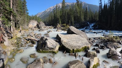 20250910_104957.jpg