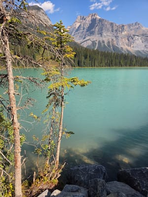 20250910_113001.jpg