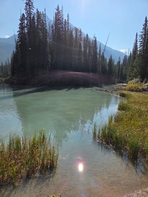 20250910_113037.jpg