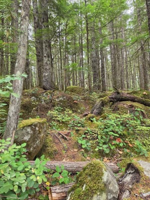 20250913_093320.jpg