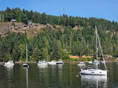 20250826_164447.jpg