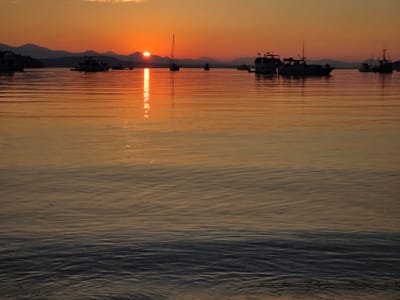 20250826_195830.jpg