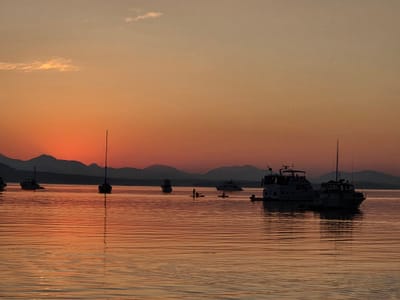 20250826_200033.jpg