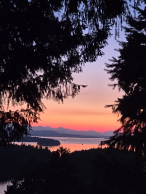 20250826_203522.jpg