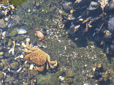 20250827_121541.jpg