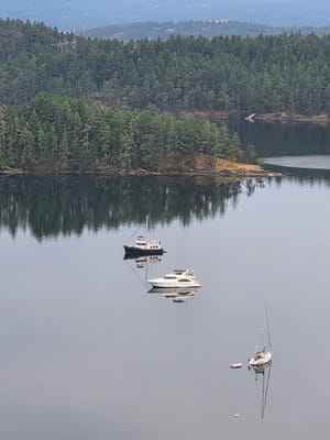 20250828_073931.jpg