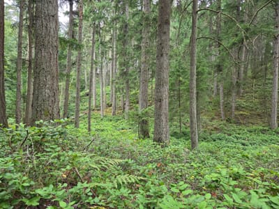 20250828_150324.jpg
