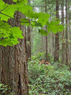 20250828_151939.jpg