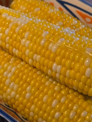 20250828_195313.jpg