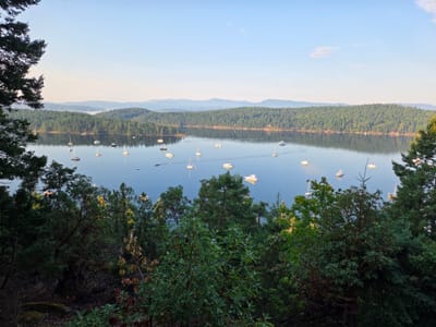 20250829_080608.jpg