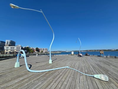 20250904_131916.jpg
