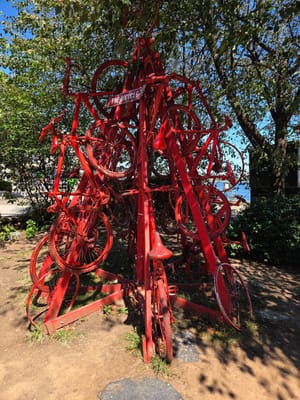 20250904_133128.jpg