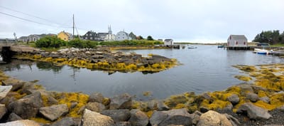 20250905_110850.jpg