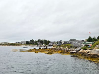 20250905_112804.jpg